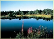 Schwarze Moor entlang der Hochrh�nstra�e